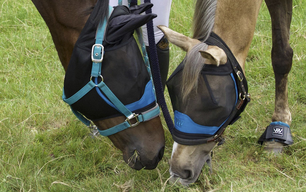 Woof Wear耳付きフライマスク - 画像 (7)