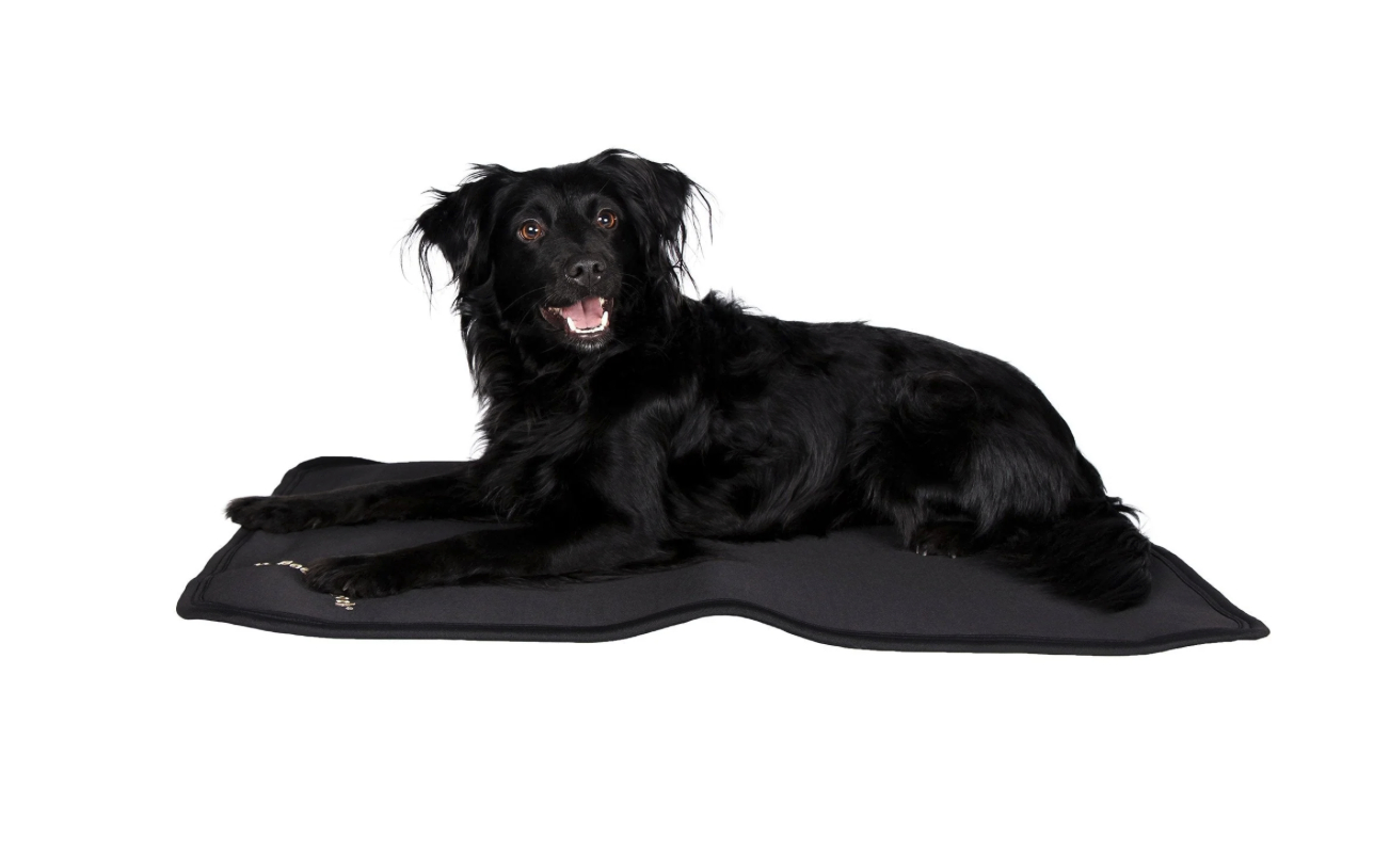 Back on Track薄手セラピーマットレス