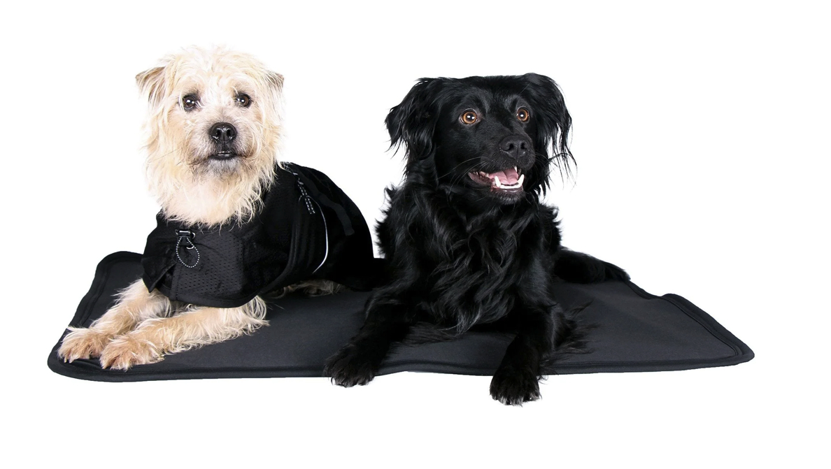 Back on Track薄手セラピーマットレス