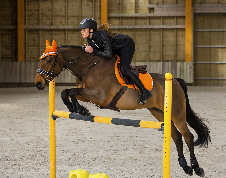 horzeアーマー・エアーフロー前後肢ブーツセット