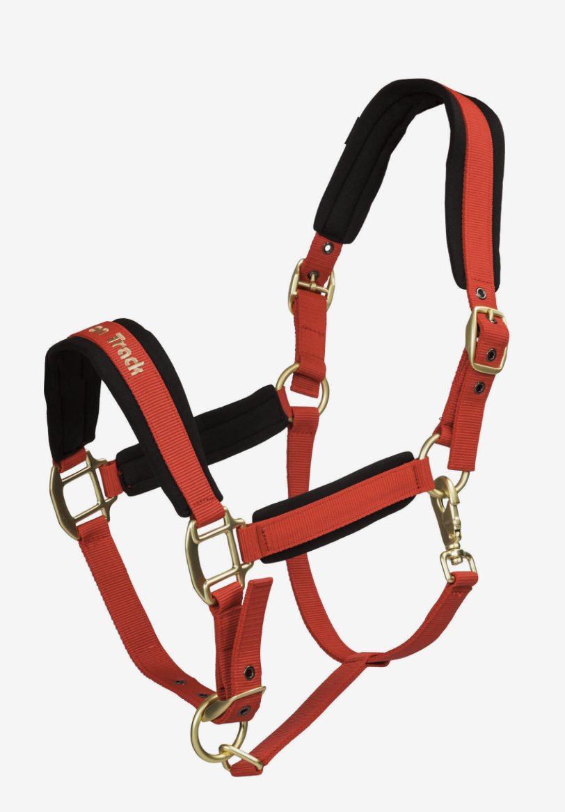 Back on Trackウェラノ・セラピック無口