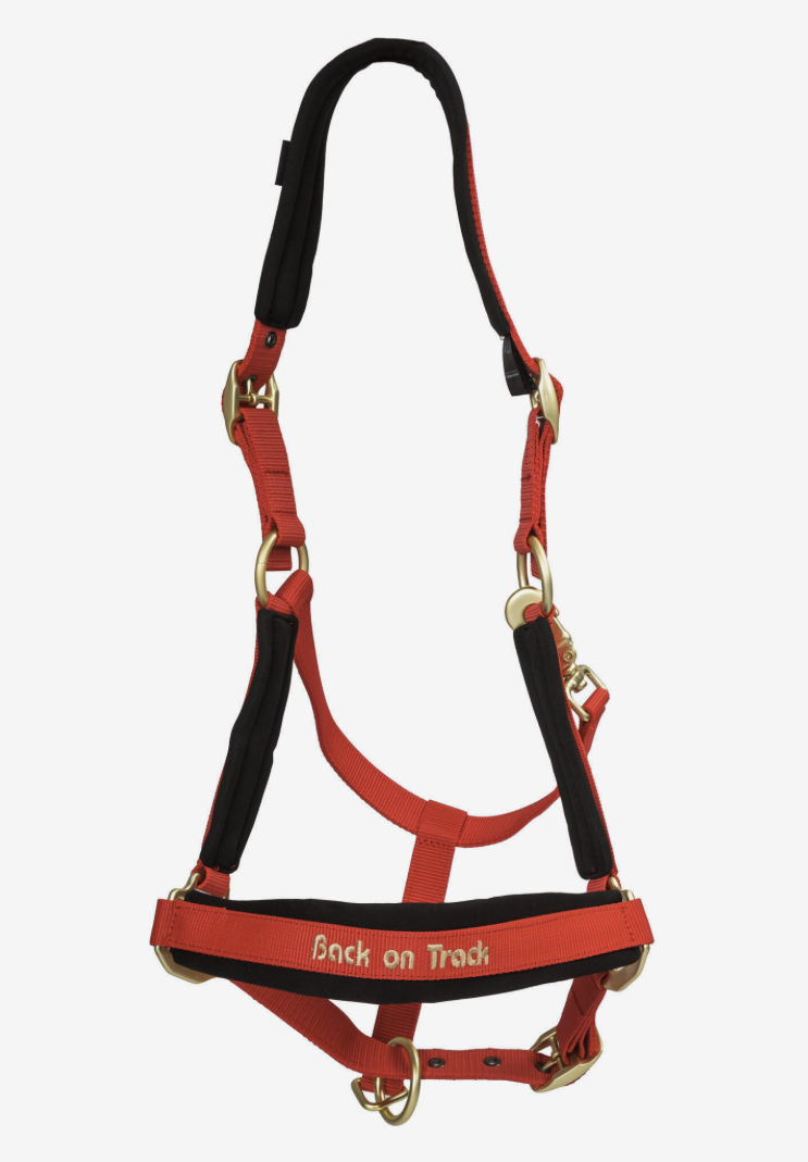 Back on Trackウェラノ・セラピック無口