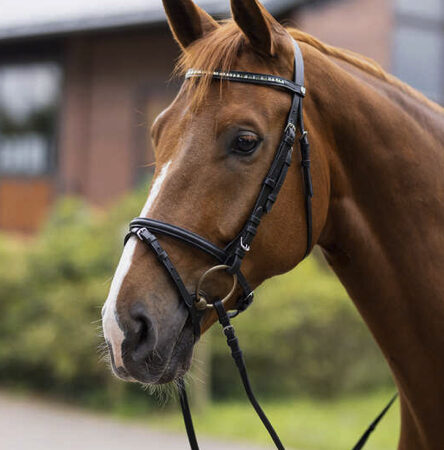 うま ポニー用頭絡・ハミ アーカイブ - 馬具・乗馬用品のサジタリアス