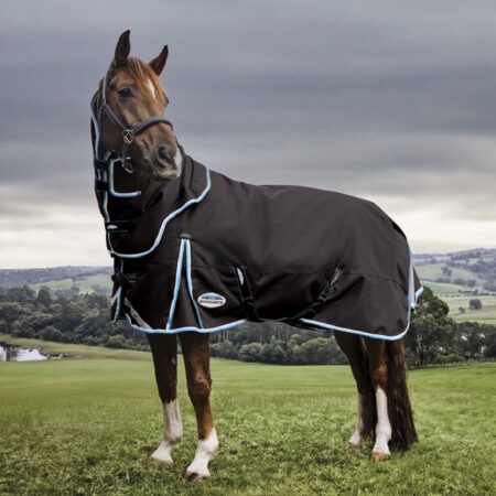 Weatherbeetaコンフィテック・ハーディ・ネック脱着コンボミディアム220g