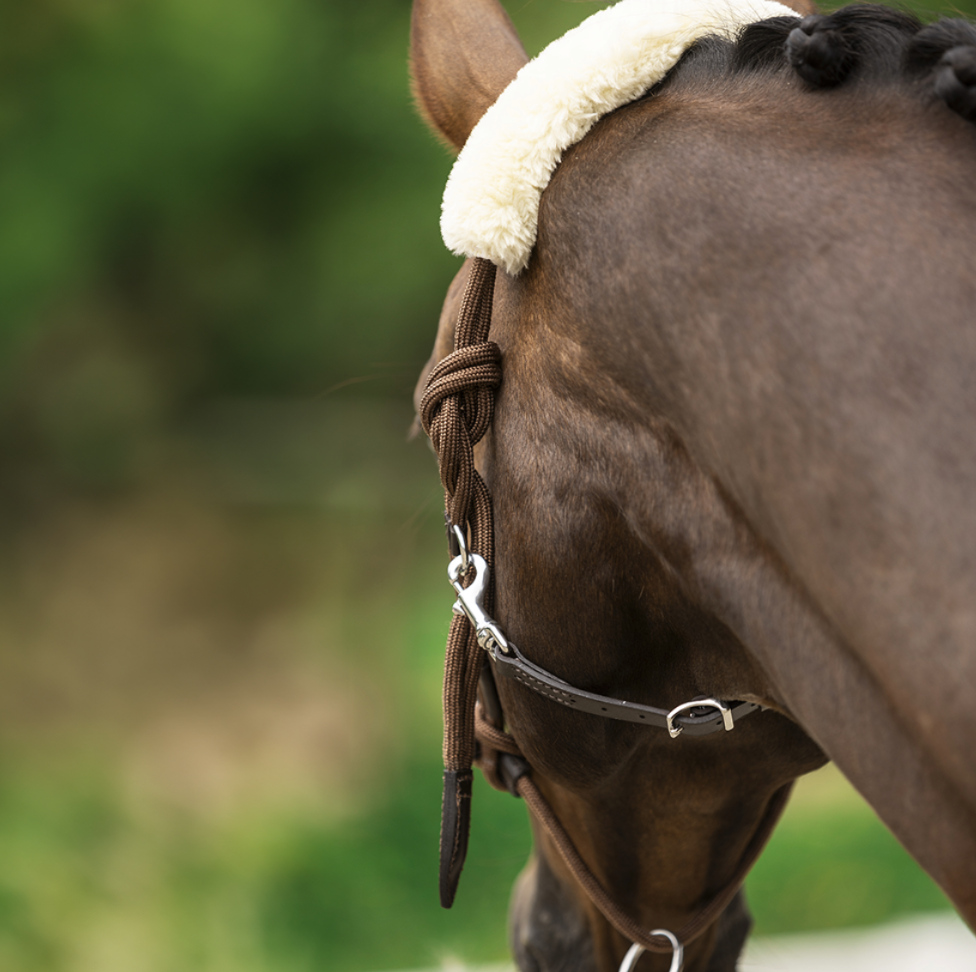 LAMI-CELL調馬索ロープ無口