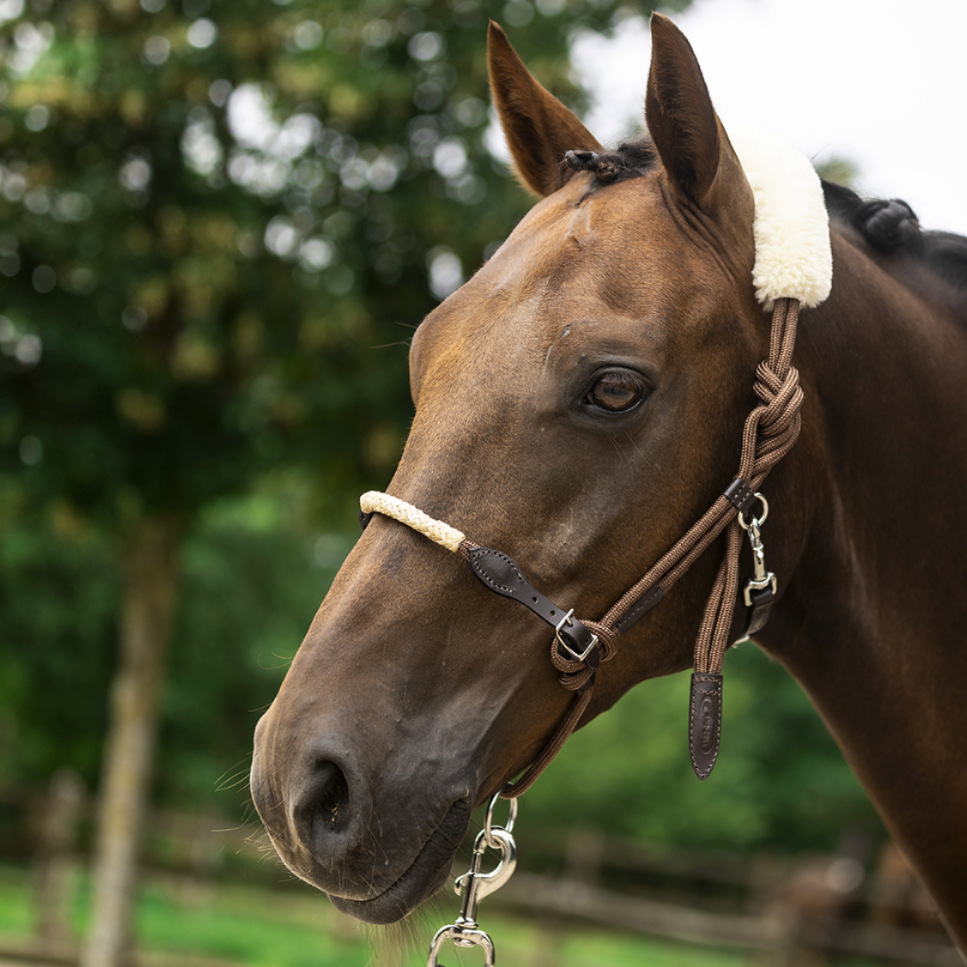 LAMI-CELL調馬索ロープ無口