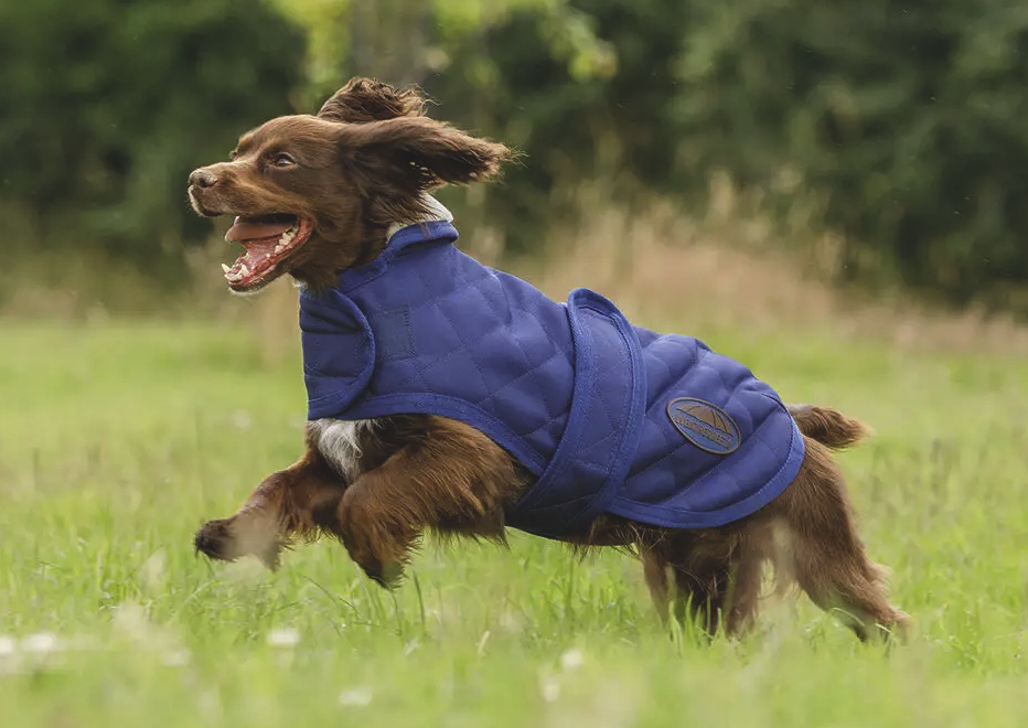 Weatherbeetaダイアモンドキルト・ドッグコート/25%OFF - 画像 (4)