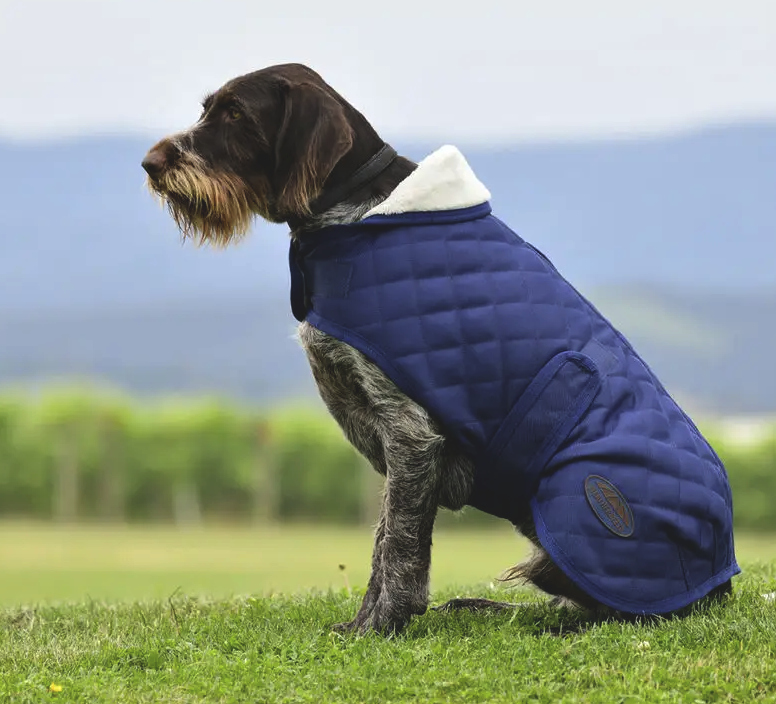 Weatherbeetaダイアモンドキルト・ドッグコート
