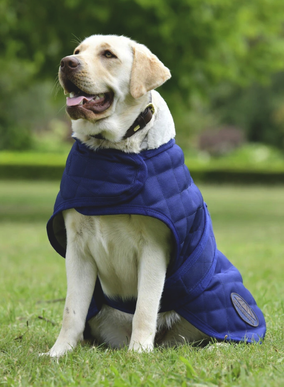 Weatherbeetaダイアモンドキルト・ドッグコート