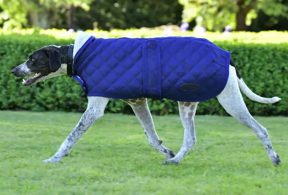 Weatherbeetaダイアモンドキルト・ドッグコート