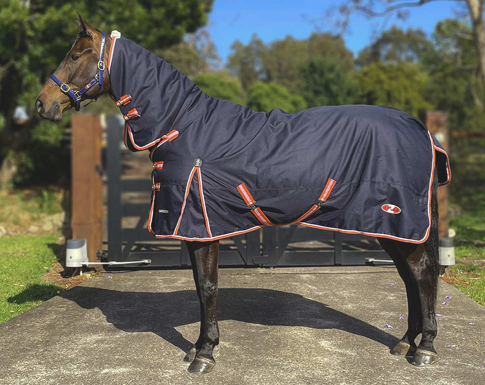 Zilco パイオニア200コンボ