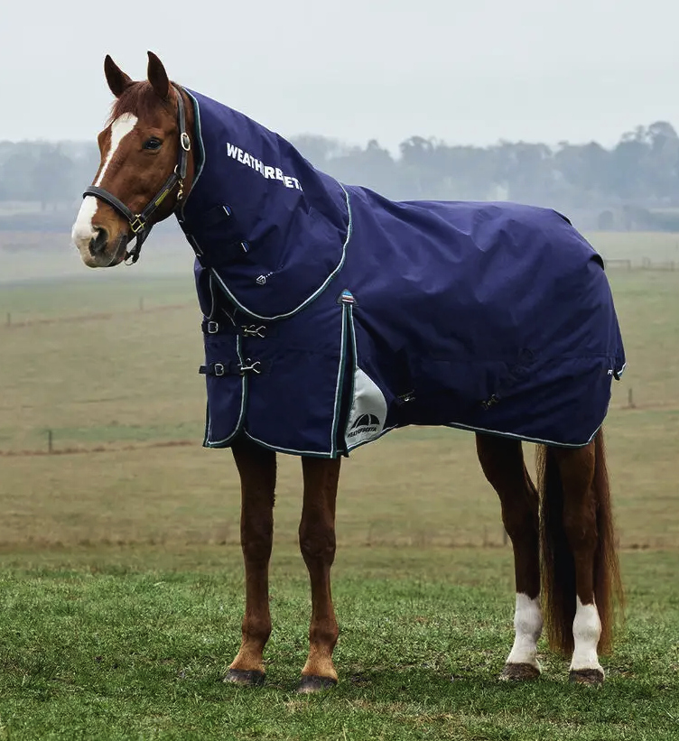 Weatherbeetaコンフィテックプラスダイナミック・ネック脱着コンボライト0g