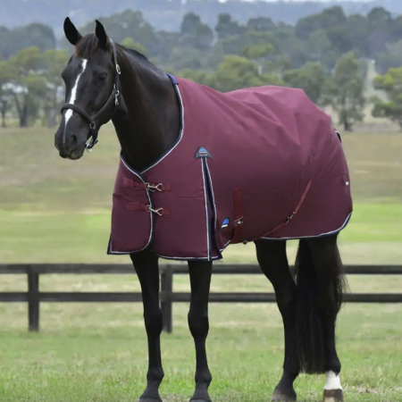 Weatherbeetaコンフィテック・エッセンシャル・2025ラグ