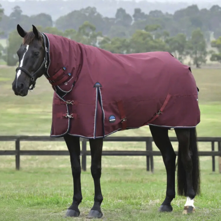 Weatherbeetaコンフィテック・エッセンシャル・コンボライト0g