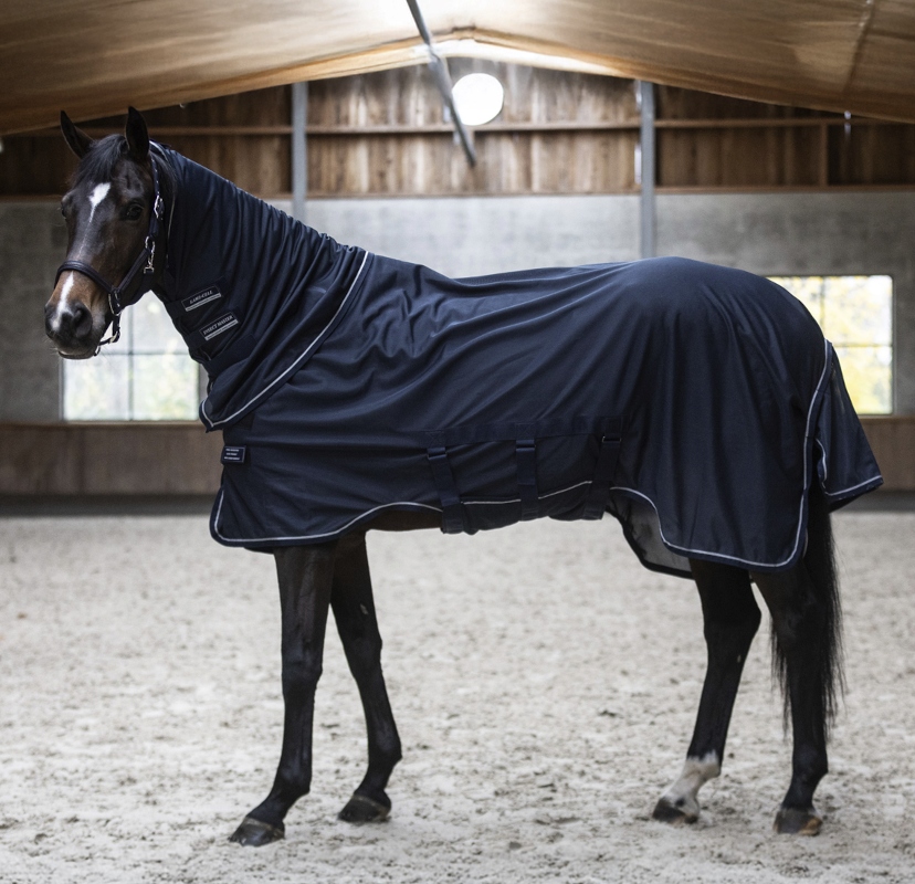 LAMI-CELLインセクトマスター虫除けラグ