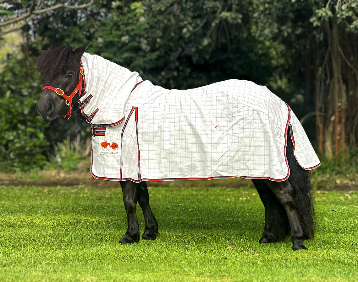 ポニー用品 - 馬具・乗馬用品のサジタリアス