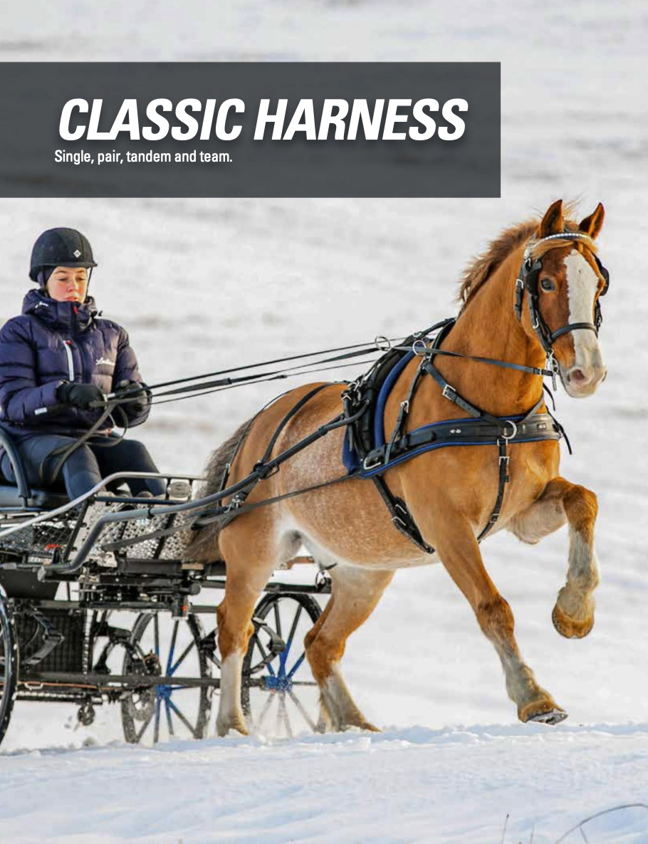 Classicホース用馬車ハーネスセット