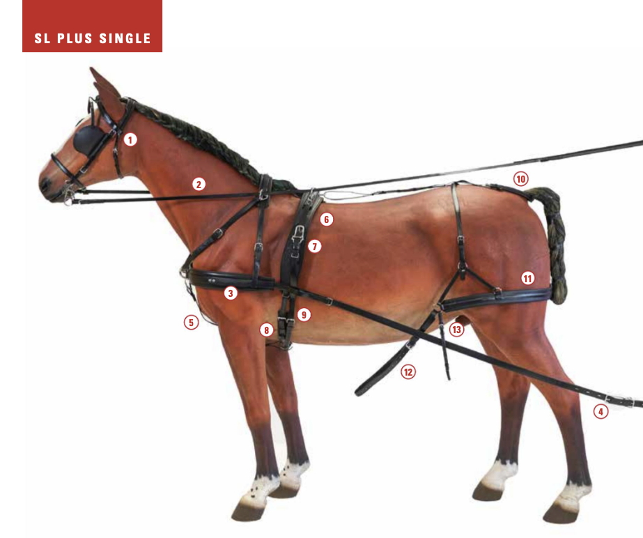 SL Plusコブ用馬車ハーネスセット - 画像 (2)