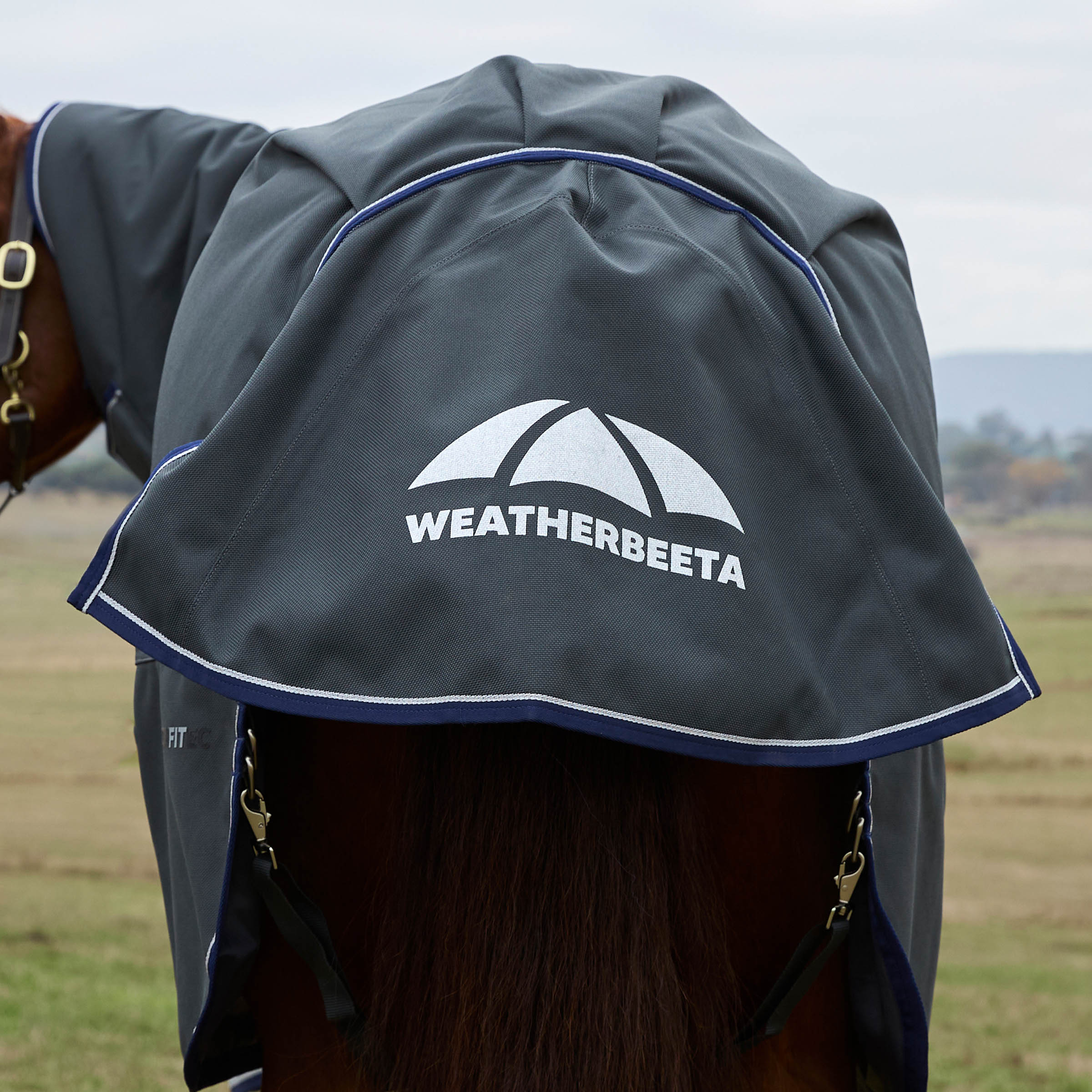 Weatherbeetaコンフィテックウルトラ・ネック脱着コンボ360g 25%OFF - 画像 (13)