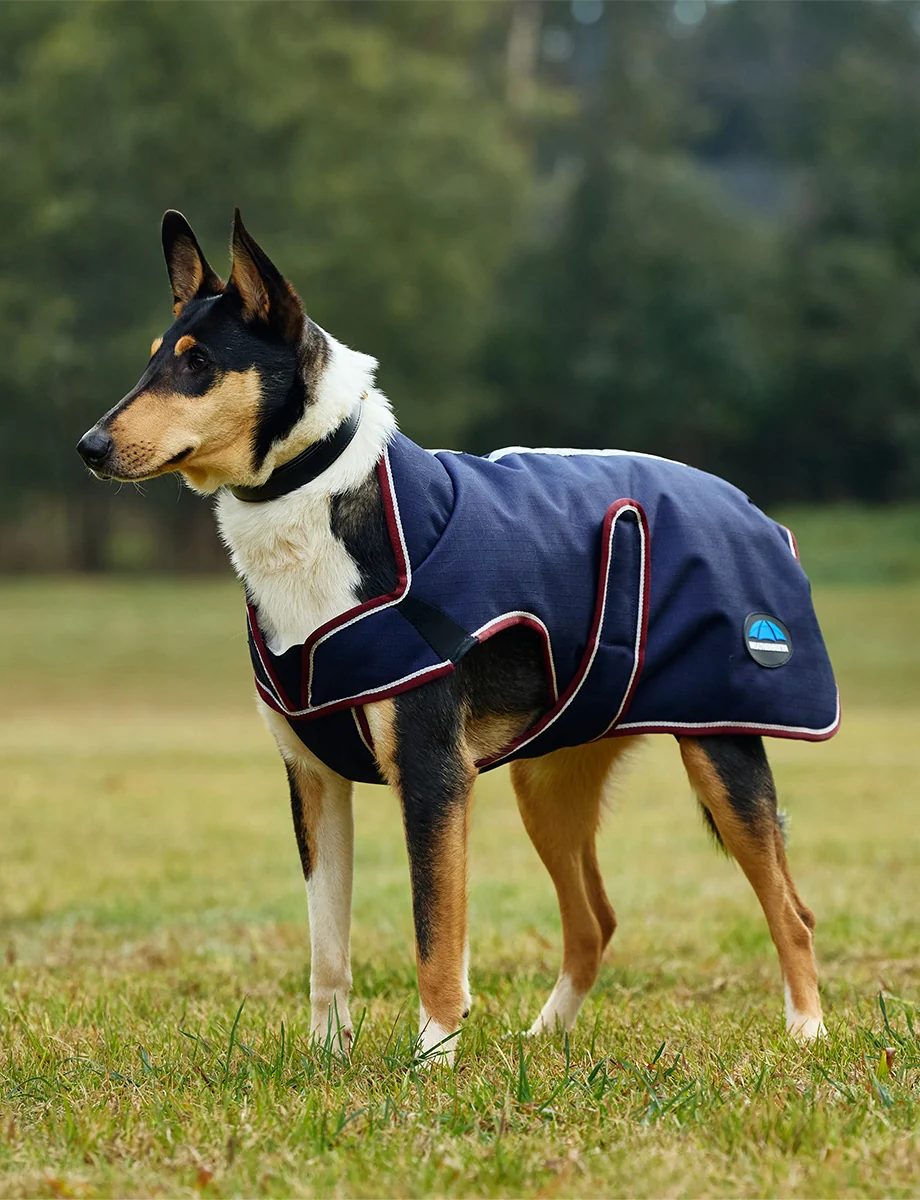 Weatherbeetaコンフィテック・プレミア・デラックス・ウォータープルーフ・ドッグコート 25%OFF - 画像 (7)